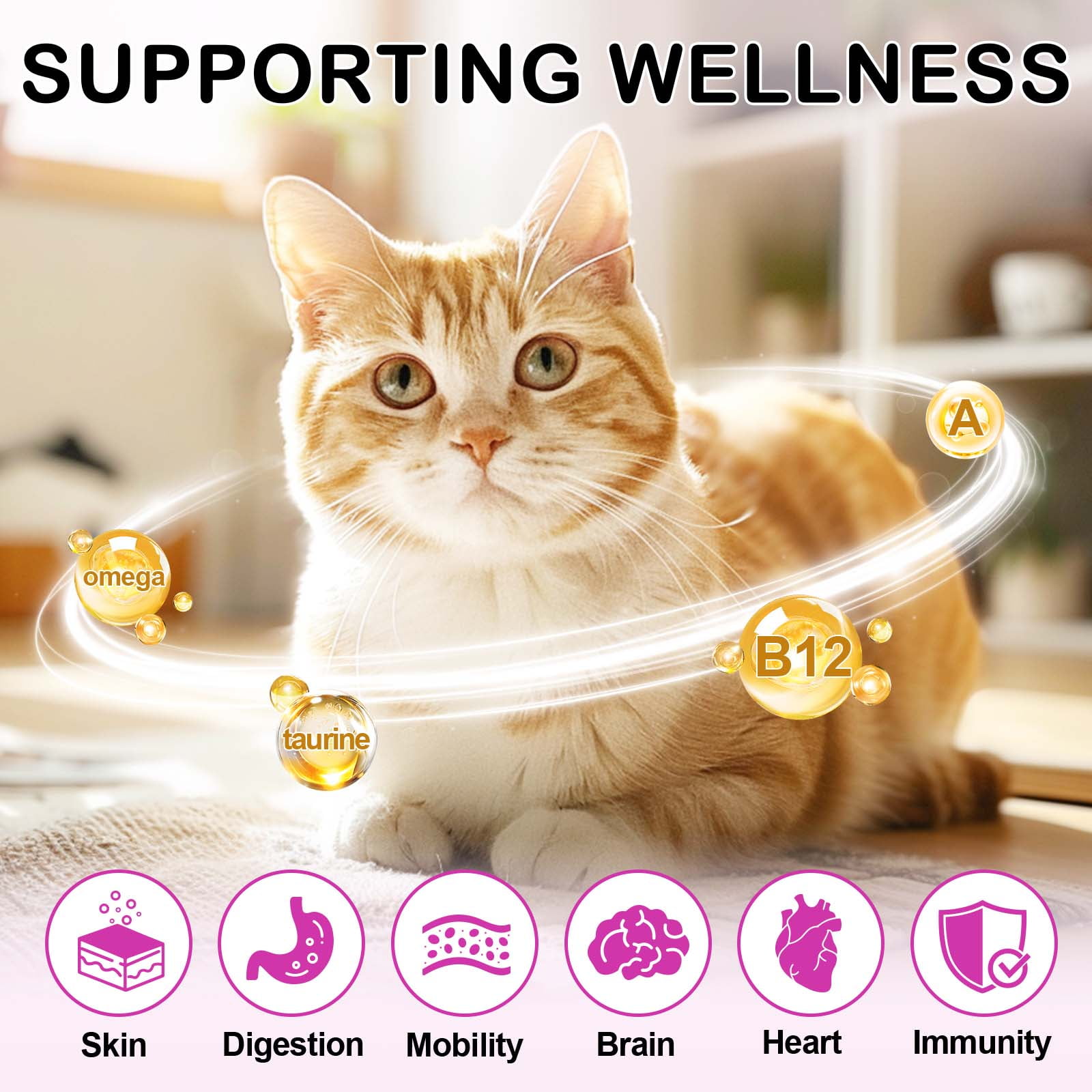 Oimmal 15 in 1 Multivitamin Chews for Cats & Kittens, Heart & Brain Support, with Omega, Taurine & Prebiotics for Immune Support, Digestion & Energy Support - 3Pack