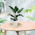 thumbnail image 4 of Water Dripping Catch Saucer Flower Pot Trays Square Pallet Resin 6ocs 6pcs Planter Gardening Tools, 4 of 11