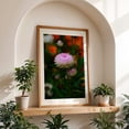thumbnail image 5 of pink chrysanthemum - Carmel Valley California Photography Floral Flowers Botanical Garden Nature Scenic Autumn Unframed Wall Art Print 8 x 12 inches, 5 of 60