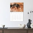 thumbnail image 3 of Exotic ants (Monthly Wall Calendar 2026 11.7 x 16.5 (open)), CALVENDO 14 Month Calendar, 3 of 9