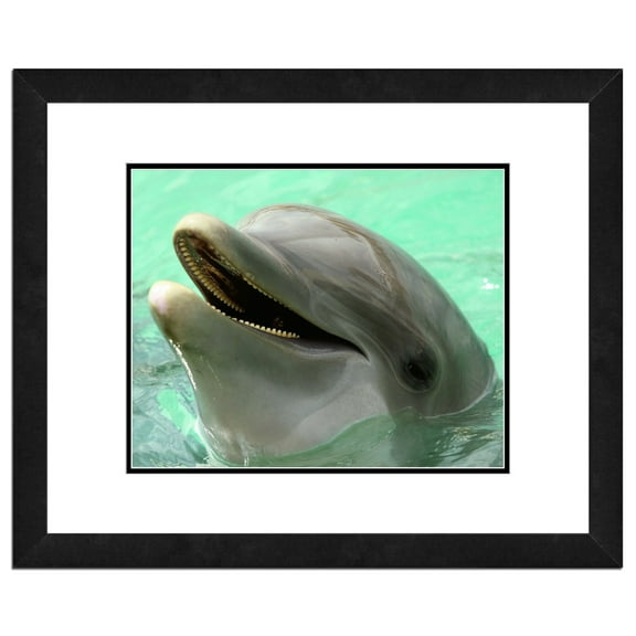 Dolphin Framed Photo by Photo File