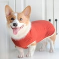 thumbnail image 2 of Pet Dog Sweater Winter Warm Clothes Coat With Scarf, 2 of 11