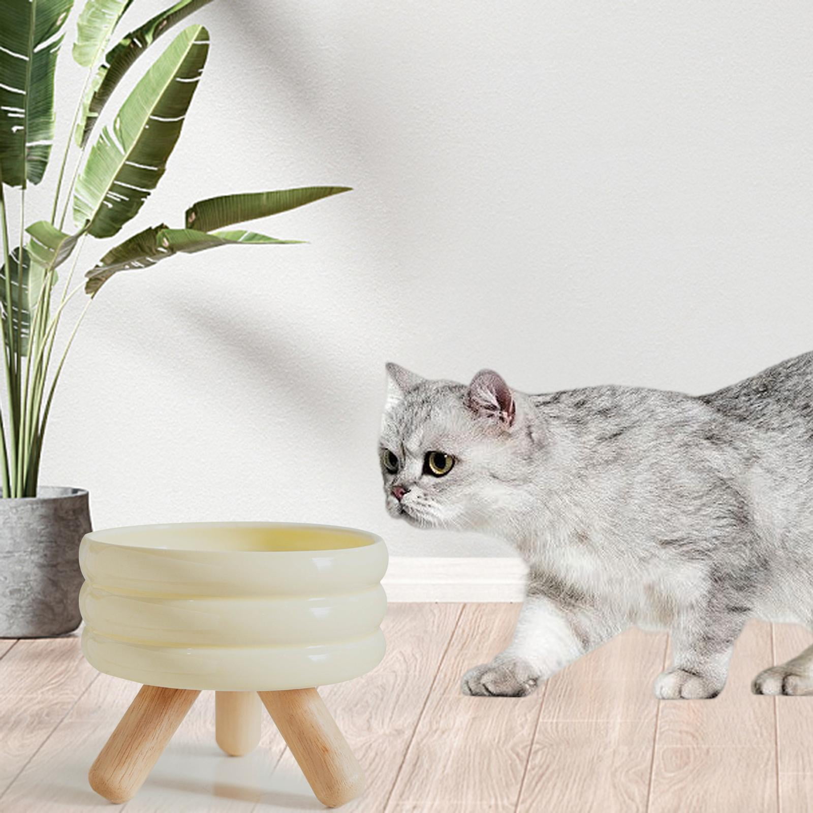 Fzaqwen Ceramic Cat Bowl Elevated Cat Food Bowl Protect Pet Spines Anti Slip Lightweight Water Bowl 600ML