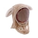 thumbnail image 3 of Gorro de invierno para niños, resistente al viento, con orejas de animales, pasamontañas, calentador de cuello, mascarilla facial Orejas de Conejo Caqui, 3 of 9