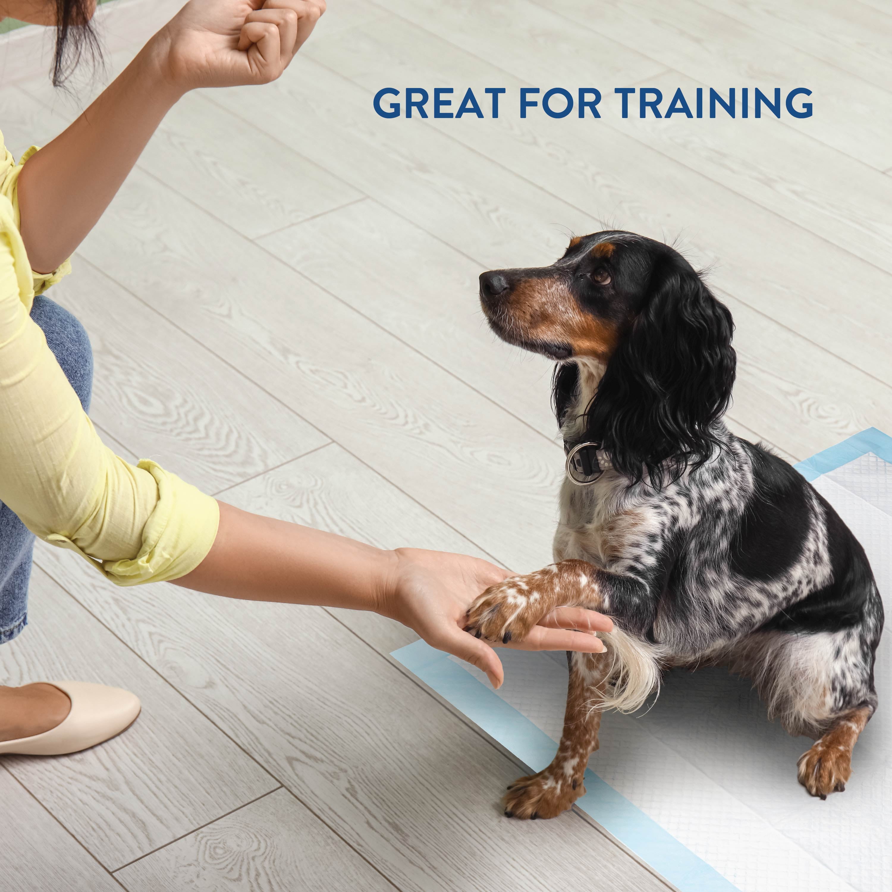 Brilliance Puppy Training Pads, 50 Count Leak-Proof Disposable, 22" x 22"