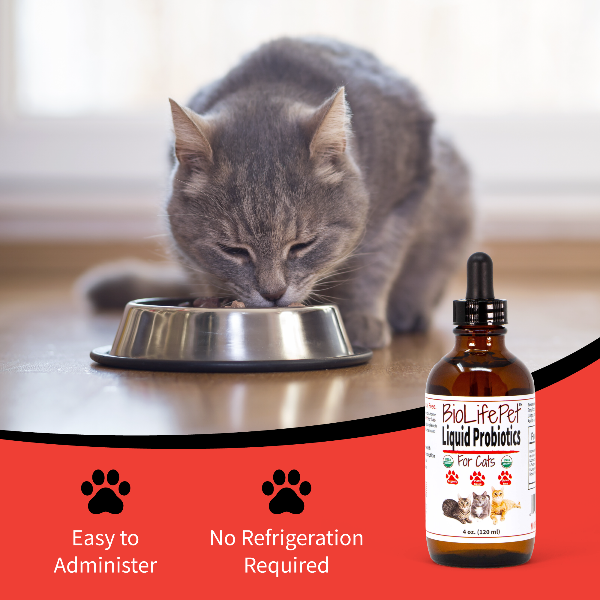 liquid probiotics for cats