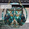 thumbnail image 3 of Sinkoo 2 Pack Boho Decor Two Owls Suncatcher for Window Hanging, Acrylic Sun Catcher for Home Garden Ornaments, Owls Gift for Christmas Family Friends Bird Lovers, 3 of 7