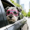 thumbnail image 5 of Dog Goggles Small to Medium Breed, Anti-UV Sunglasses for Dogs Medium Breeds, Windproof Driving Dog Eye Protection, Puppy Glasses with Elastic Straps, Adjustable, Black Frame with Silver Trim, 5 of 9