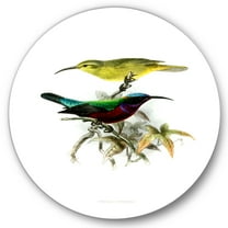 Designart 'Ancient Australian Birds XV' Traditional Circle Metal Wall Art 11x11 - Disc of 11