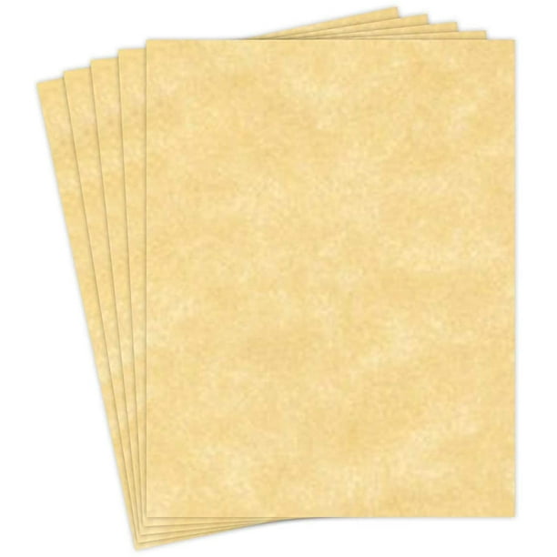 New Champagne Stationery Parchment Paper Great for Writing