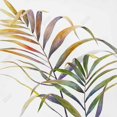 thumbnail image 3 of Feuilles de Palmier Tropicales Aquarelle - Toile 24"x24 Pouces - Impression à la Demande, 3 of 5