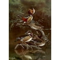 thumbnail image 2 of Allan Brooks 14x18 Gold Ornate Wood Frame and Double Matted Museum Art Print Titled - Mandarin Duck, Carolina Duck (1922-1926), 2 of 4