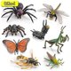 thumbnail image 2 of Figuras de acción de libélula y saltamontes, modelo de animales de insectos, mariposa, Mantis, araña, saltamontes, juguetes educativos en miniatura para niños, regalos, 2 of 4