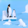 thumbnail image 5 of Ruanlalo 4/6Pcs Mini Penguin Sea Lion Snowflake Ornament Fairy Garden Bonsai DIY Decor, 5 of 6