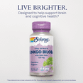 thumbnail image 3 of Solaray One Daily Ginkgo Biloba Supplement, 120mg | 60 Count, 3 of 5