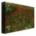 thumbnail image 4 of Trademark Fine Art "The Poppy Field 1896" Canvas Wall Art by Pal Szinyei Merse, 4 of 4