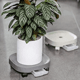 thumbnail image 4 of Plant Pallet ,Plant Stand with Wheels and Water Container, Flower Pot , Round Flower Pot with Roll, White, 4 of 5