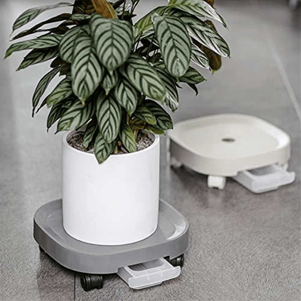 Support Pot De Fleurs Réglable Gris à Roulettes En Acier Omega De Flora. En Acier Galvanisé Peint