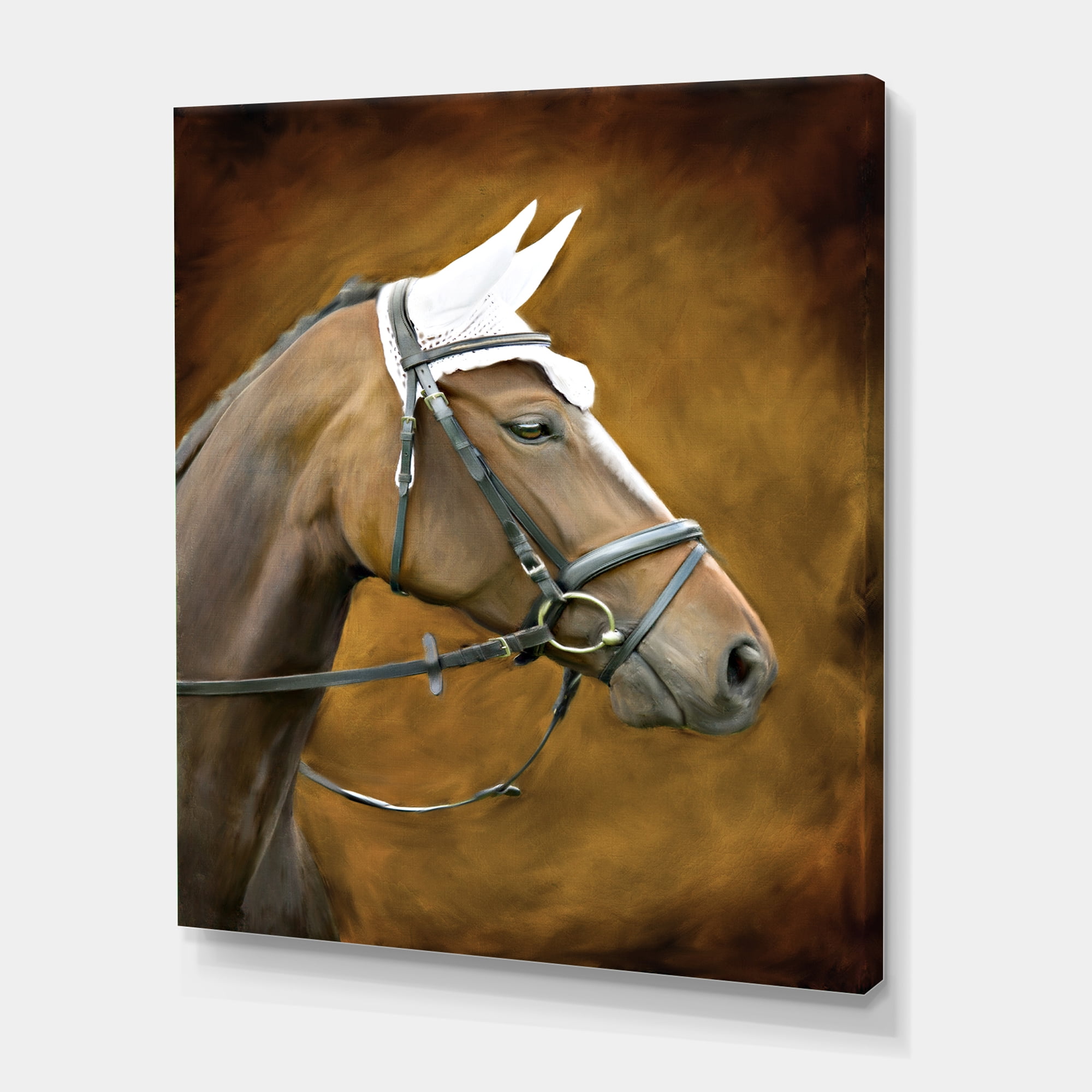 Designart ' Close Up Portrait Of Brown Horse With White Ears ' Farmhouse Canvas Wall Art Print