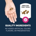 thumbnail image 4 of Everyday Health Indoor Kitten Cat Dry Food - Salmon & Rice, With-Grain, 4 of 4