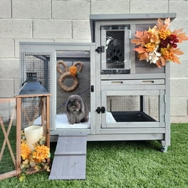 Bunny house walmart hot sale