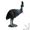 thumbnail image 5 of Ksopiavobs Realistic Animal Figures Cassowary Bird Figurines, Science Project, Cake Topper, Early Educational Toys Birthday for Toddlers Kids Age 3 4 5, 5 of 6
