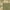 Olive/Natural, variant on SAFAVIEH Courtyard Dani Bordered Indoor/Outdoor Area Rug, Brown/Natural, 2' x 3'7"