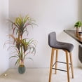 thumbnail image 1 of Planta artificial moderna decorativa Real Style Dracaena Marginata  de 120cm de alto Artego para hogar sala comercio oficina, 1 of 9