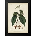 thumbnail image 2 of Churchill 13x18 Black Modern Framed Museum Art Print Titled - Medicinal Botany IV, 2 of 5