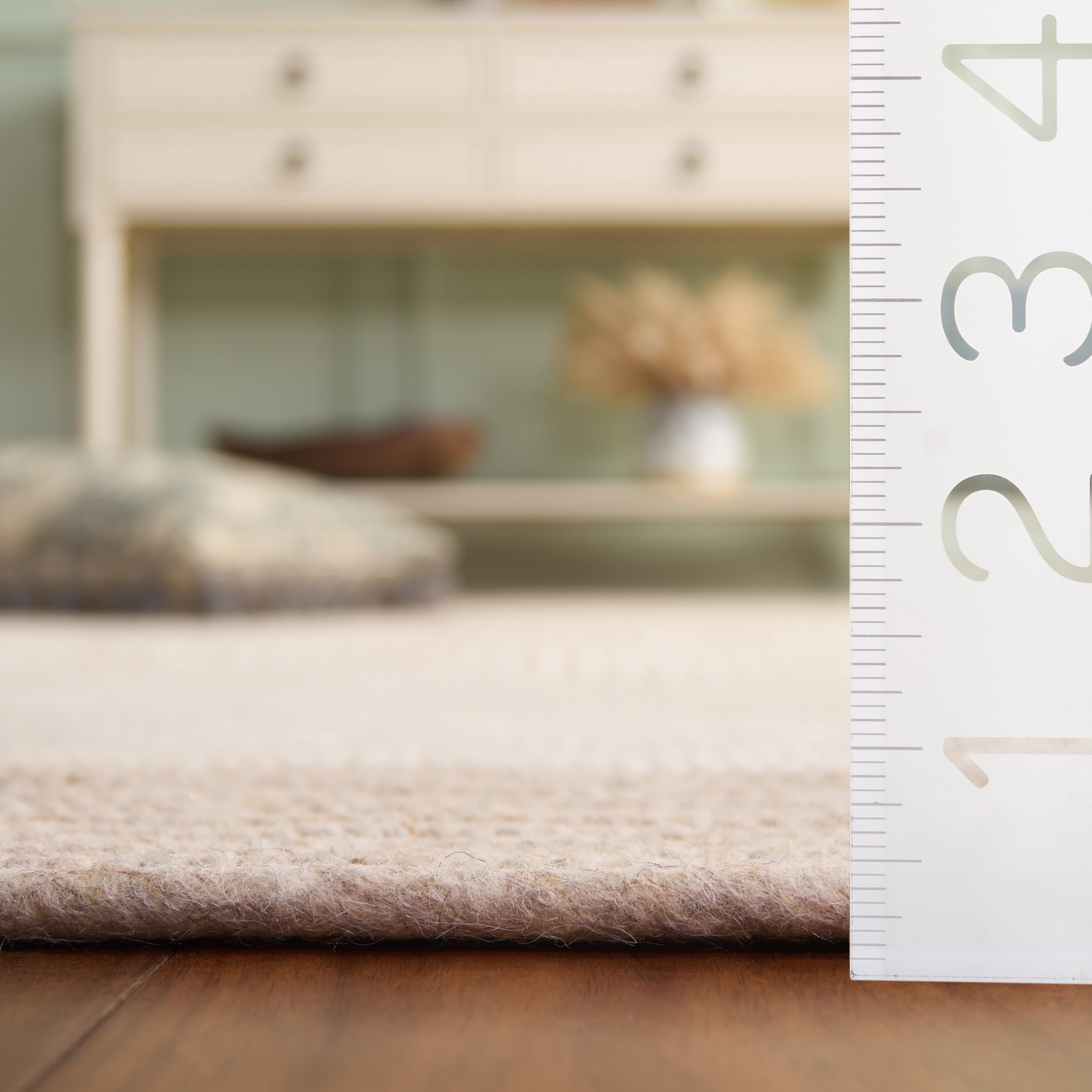 SAFAVIEH Braided Lars Geometric Reversible Area Rug, Beige/Ivory, 4' x 6'