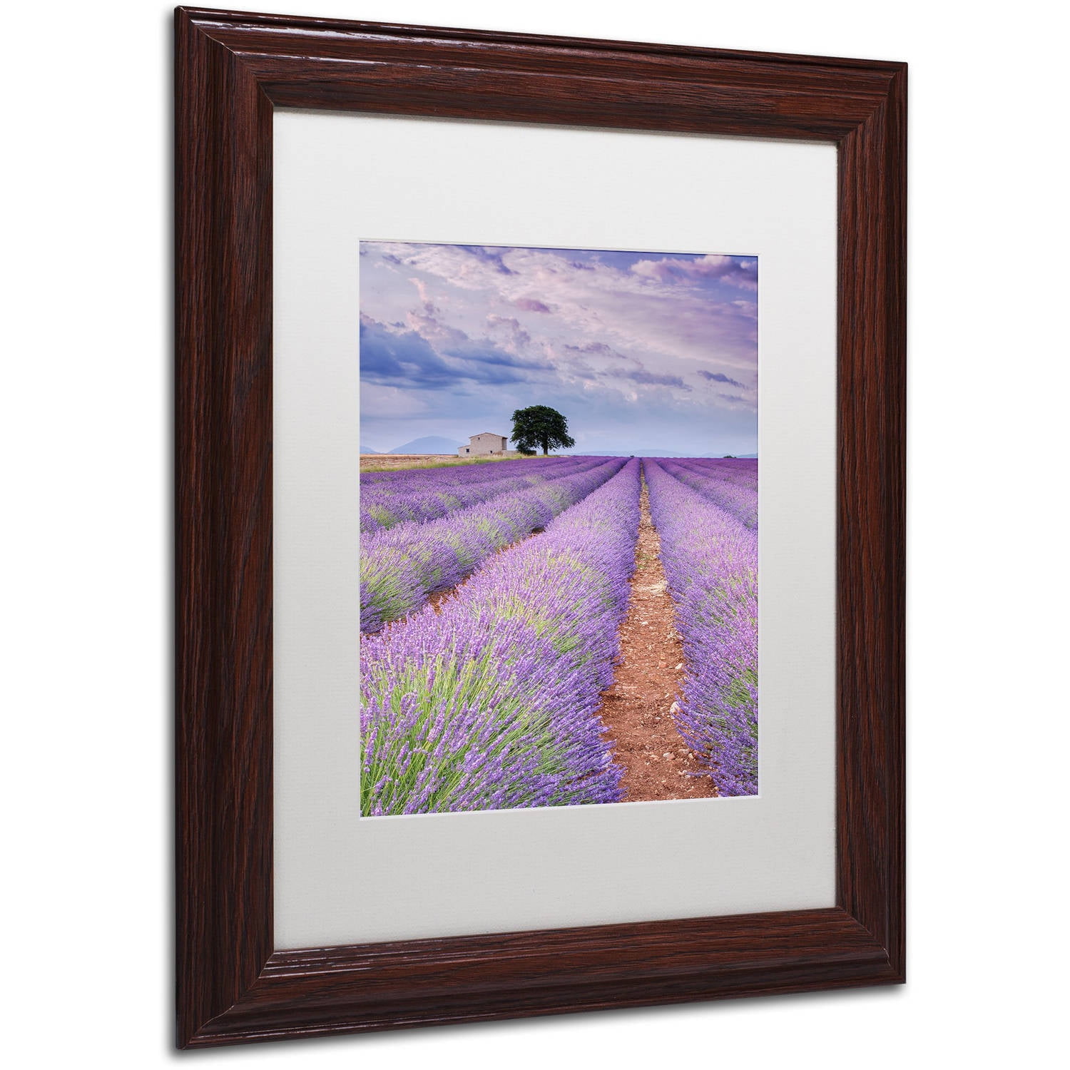 Trademark Fine Art "Rows Of Lavender" Canvas Art by Michael Blanchette Photography White Matte, Wood Frame