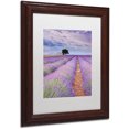 thumbnail image 2 of Trademark Fine Art "Rows Of Lavender" Canvas Art by Michael Blanchette Photography White Matte, Wood Frame, 2 of 4
