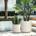 thumbnail image 5 of Round Tropical Planters Set - 13.6" Outdoor Planters - Modern Plastic Pot Set of 2 - Home Decor, 5 of 6