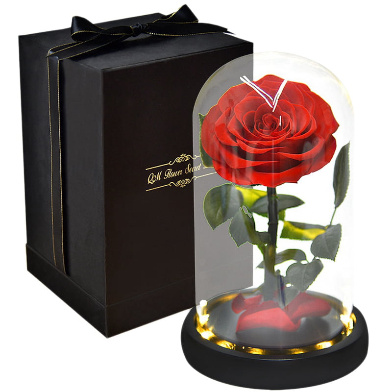 Eternal Rose Preserved Flower Rose Handmade Gift Box Rose in a Glass Dome with 