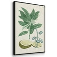 thumbnail image 2 of Buchoz Tropicals II - Framed Premium Gallery Wrapped Canvas L Frame 3 Piece Set - Ready to Hang, 2 of 4