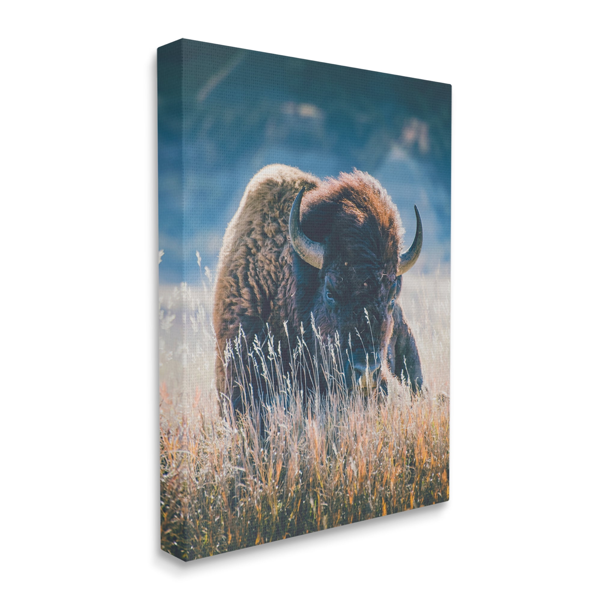 Stupell Industries Bison in Meadow Photography Animals & Insects Photography Gallery Wrapped Canvas Print Wall Art, 36 x 48