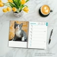 thumbnail image 5 of Kittens | 2026 6x7.75" Spiral-Bound Weekly Engagement Planner | BrownTrout, 5 of 9