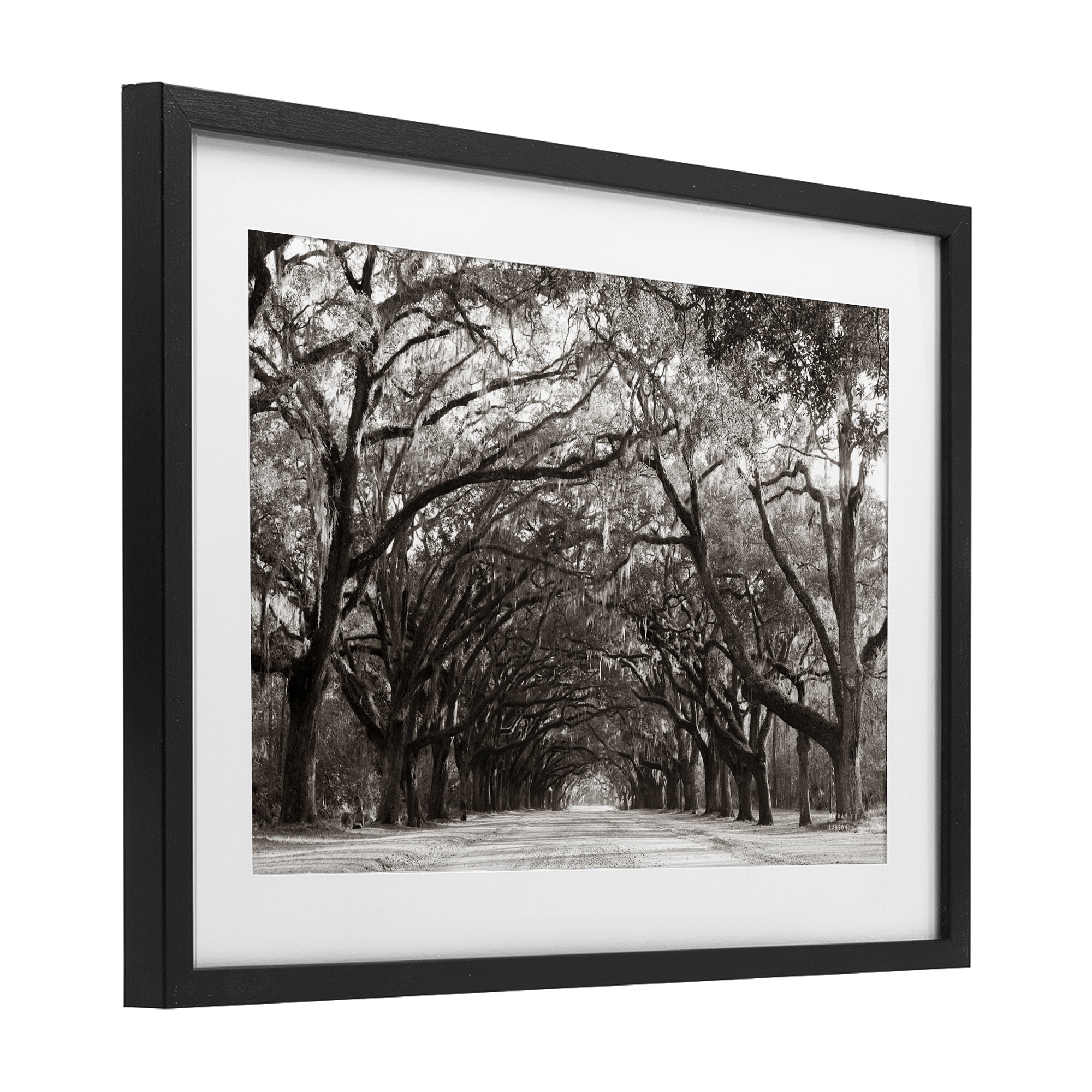 Stupell Industries Georgia Stroll Tree Tunnel Black Framed Print Under Glass, design by Nathan Larson