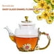 thumbnail image 4 of Tetera De Vidrio Francia Esmalte Rose Tetera De Vidrio Hervidor De Agua Esmalte Resistente Al Calor Tetera De Vidrio Con Colador 6 Tazas Juego De Tazas De Tetera Para Té De Cocina Minnieouse HA019007-00, 4 of 6