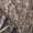 Timber Camo, variant on Men's Camo Hunting Pants