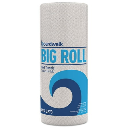 - Perforated Paper Towel Roll, 2-Ply, White, 11 X 8 1/2, 250/roll, 12 Rolls/carton