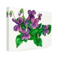 thumbnail image 2 of Wendy Edelson 'Violets Bunny' Canvas Art, 2 of 4