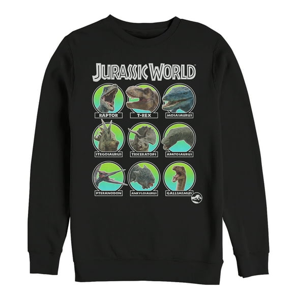 Men's Jurassic World: Fallen Kingdom Dino All Stars Sweatshirt Black 2X Large