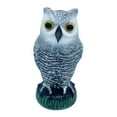 thumbnail image 1 of Youkk Statue d'Épouvantail d'Oiseau en Forme Réaliste et Oreilles Rondes Uniques, 1 of 6