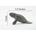 thumbnail image 3 of Manatee, Sea Cow, Dugongs, Museum Quality, Hand Painted, Very Realistic Rubber Mammal, Model, Educational, Gift, 3 1/2" CH0256 BB123, 3 of 7