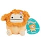 thumbnail image 1 of Peluche Squishmallows Original Shasta The Bigfoot 13 cm, 1 of 6