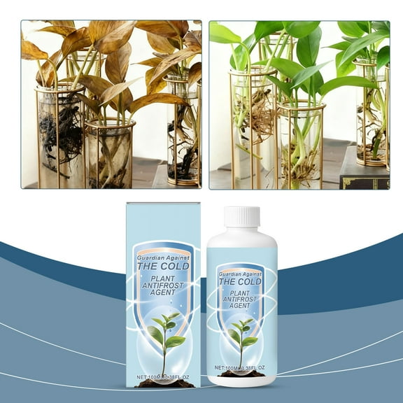 YFGEFTR Rooting Liquid Plant Rapid – Liquid Houseplant Fertilizer & Plant Food for Indoor Potted Plants – Monstera, Pothos & Tropical Indoor Plants, Water Soluble Nutrients