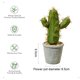 thumbnail image 2 of Planta tropical en macetas con macetas, adornos creativos, planta de simulación de cactus, bonsái, 2 of 5