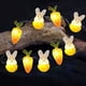 thumbnail image 1 of Luces de cadena de conejo, luz de decoración de conejito de Pascua Led Luces de cadena de conejito LED Luz de decoración de conejito de Pascua Calidad de nivel superior, 1 of 7