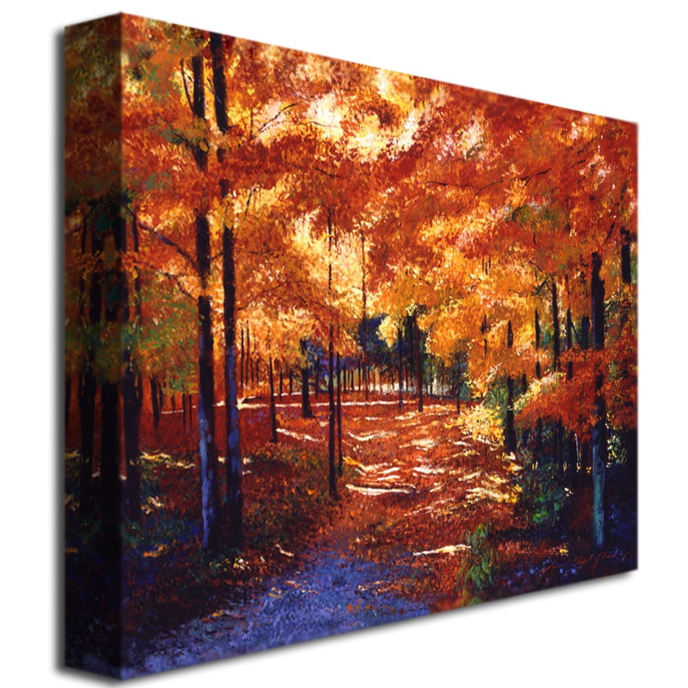 Trademark Art "Magical Forest" Canvas Wall Art by David Lloyd Glover